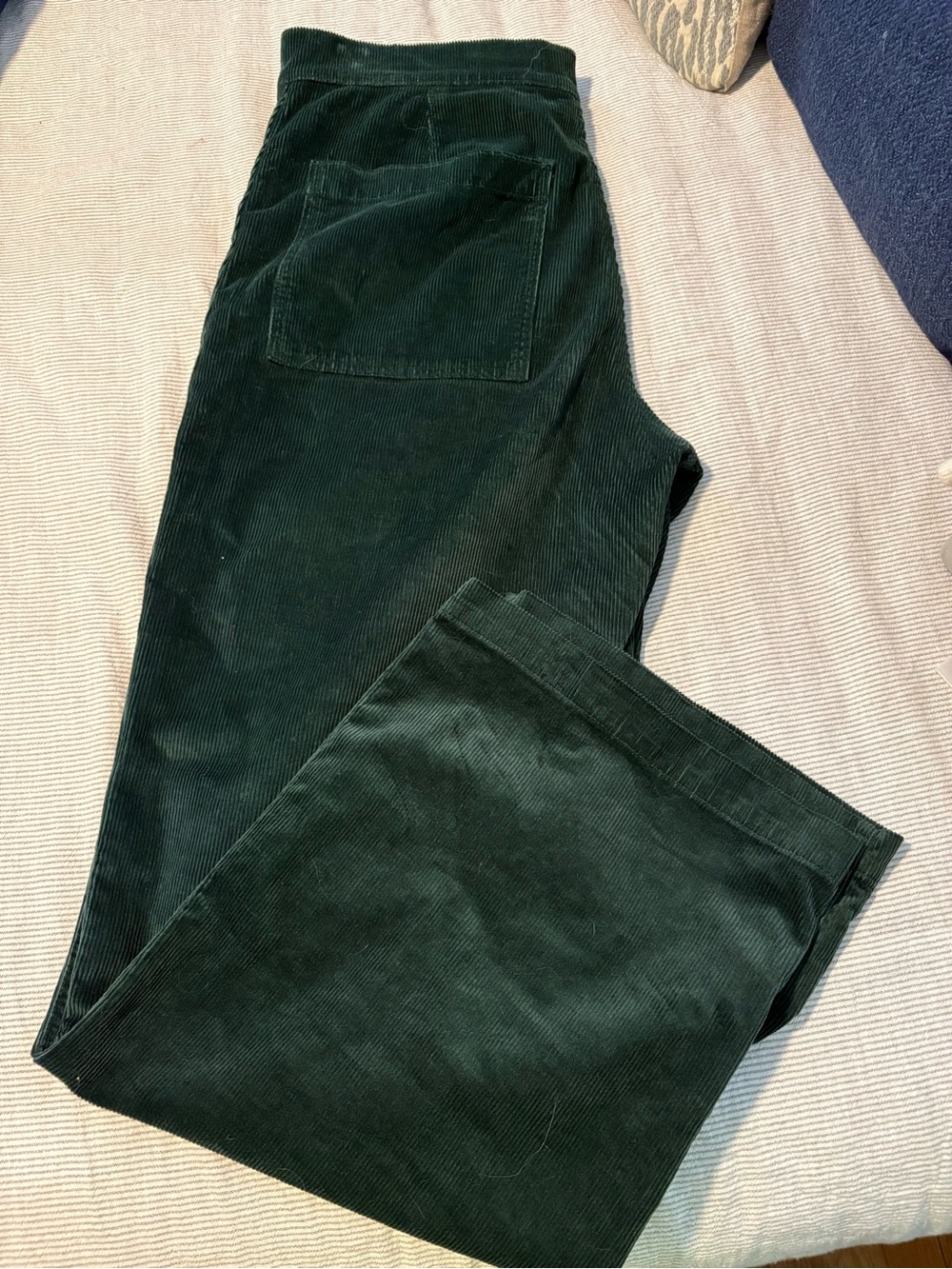 Madewell Emmet Wide Leg Corduroy Dark Green Pants, Welt Pocket edition - Picture 7 of 9